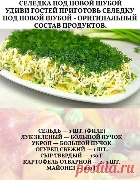 Филе селедки, без костей естественно, нарезаем небольшими кусочками и выкладываем первым слоем на тарелку. . Сверху делаем сетку из майонеза. Удобно это делать из одноразового кулинарного мешка. Далее нарезаем большой пучок зеленого лука и выкладываем на селёдку.Сверху майонез. Отварной картофель натрем на терке и выкладываем третьим слоем.Делаем сетку из майонеза.Далее свежий огурец ,1 небольшой или половинка. Нарезаем соломкой и выкладываем. Сыр натрем на крупной терке и...