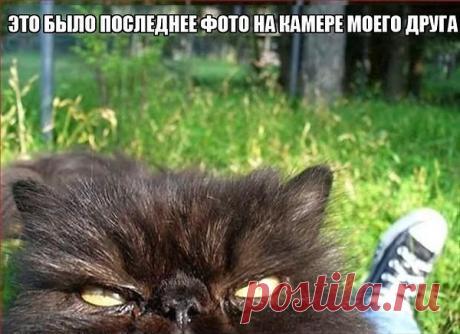 Интересные новости