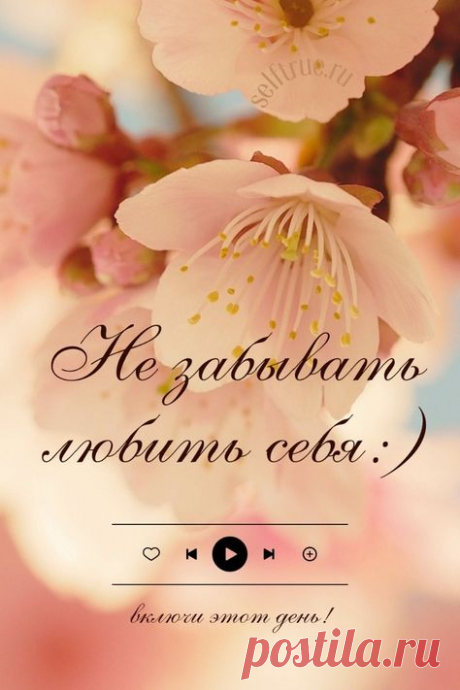 Фон для текста, фон с цветами, видеофоны скачивайте по ссылке в шапке профиля | Красивый Stories фон Background. Фоны для текста. Весенний фон. Яркий фон. Фон с тюльпанами. Цветочный фон. Пастельный фон для сторис. Идеи, как оформить тексты и сторис в соцсетях. Нежный фон. Обои сторис и идеи для оформления соцсетей, красивые фоны для телефона, оформление постов, тексты для соцсетей. Идеи оформления постов | #фоны_идеи #сторис #идеи_оформления #фоныдлятекста #background #скачать #весеннийфон @lar