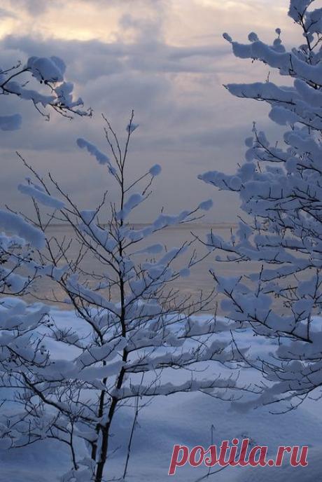 Frozen Beauty | winter