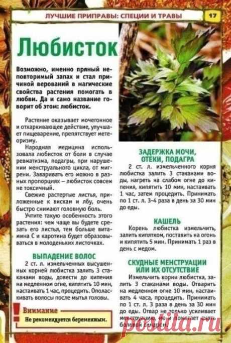 ТАКИХ РЕЦЕПТОВ ВЫ БОЛЬШЕ НЕ НАЙДЕТЕ! 

  Целебные растения и приправы для нашего здоровья.