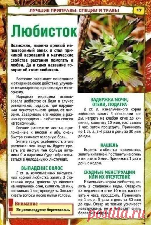ТАКИХ РЕЦЕПТОВ ВЫ БОЛЬШЕ НЕ НАЙДЕТЕ! 

  Целебные растения и приправы для нашего здоровья.