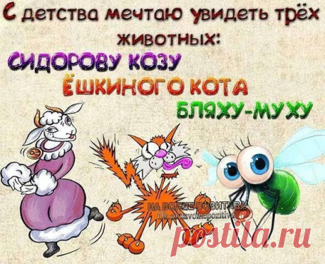 Интересные новости