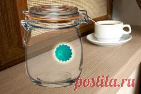 Микро-НЛО на кухне шокировал жителя Новосибирска - свежие новости Украины и мира