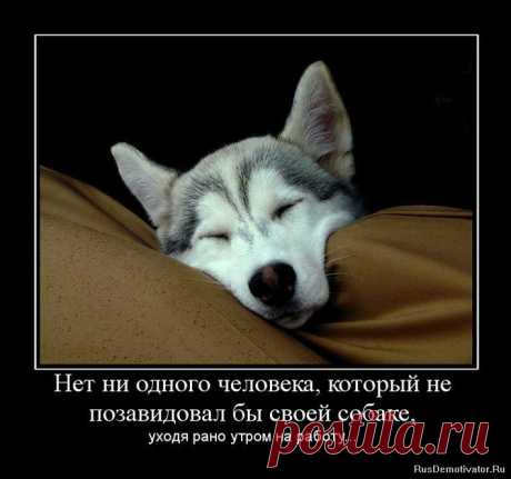 Прикольные картинки с надписями про работу (41 фото) - Прикольные картинки и юмор