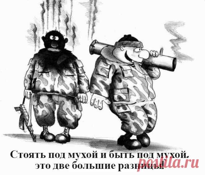 Анекдоты в картинках: Эпизод №58 | solegol.com💰💰💰 | Яндекс Дзен