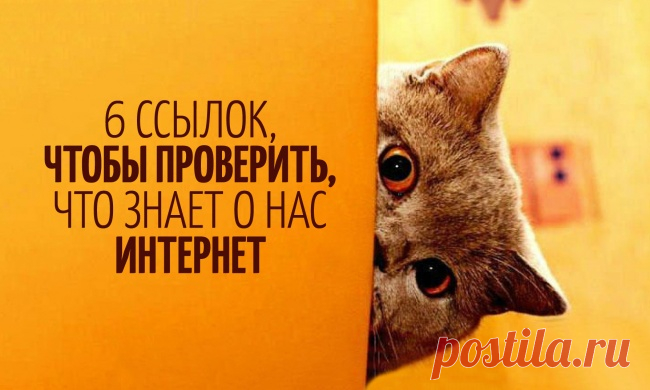 6 ссылок, чтобы проверить, что знает о нас интернет.