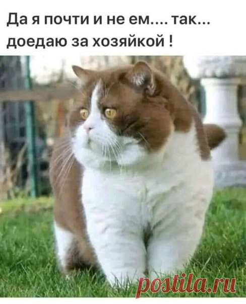 Доброе утро!