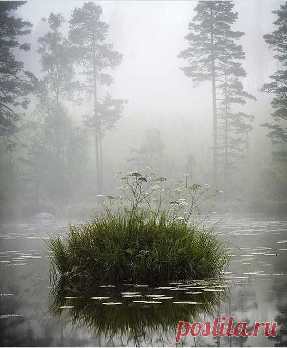 (37) Pinterest