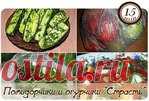 Вкуснейшие помидорчики и огурчики 