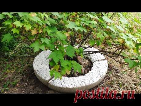 #приствольныйкруг #бордюрдляклумб #изцемента #поделкиизцемента #декорклумбы #избетона #каксделатьизцемента