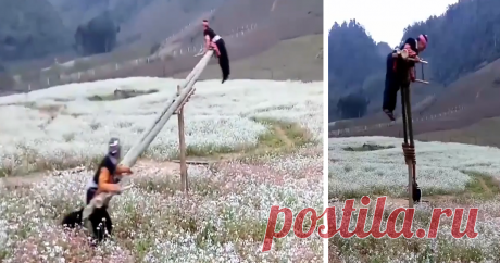 Awesome Swings In Vietnam Swings are one of those things that people enjoy no matter their age. Vietnam's Hmong ethnic minority even use them in their folk games.