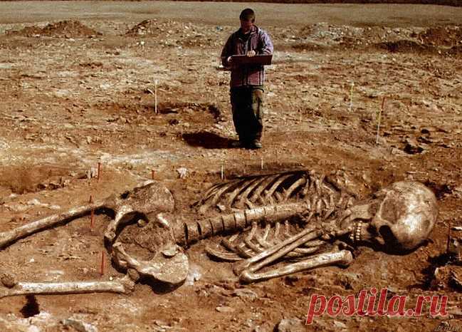 Кости великанов
...Одной из главных сенсаций, в корне меняющих теорию происхождения человека, стало обнаружение многочисленных скелетов великанов по всему миру...