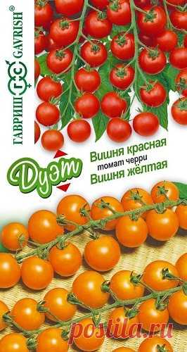 Томат "Вишня желтая+Вишня красная"