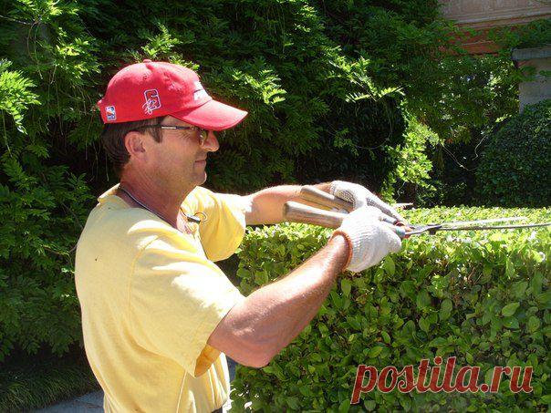 Клуб любителей дачи