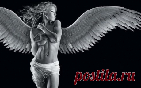 Даже упав, вновь решайся на взлет,
Жизнь твои крылья не зря мастерила.
Помни,что Бог никогда не дает,
Ноши, которая нам не по силам.

Casablanca – Angel Of Night