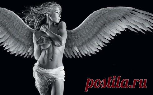 Даже упав, вновь решайся на взлет,
Жизнь твои крылья не зря мастерила.
Помни,что Бог никогда не дает,
Ноши, которая нам не по силам.

Casablanca – Angel Of Night