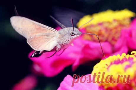 Яркие фотографии Николая Кузнецова — Фотоискусство