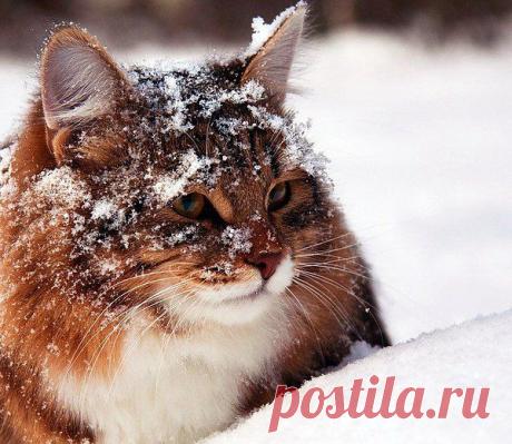 Интересные новости