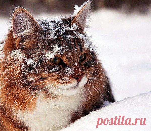 Интересные новости