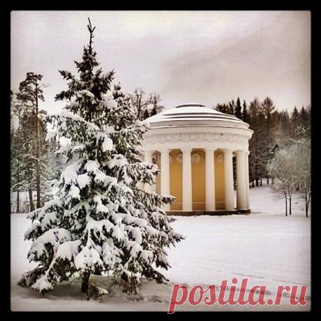 Галина Беляева