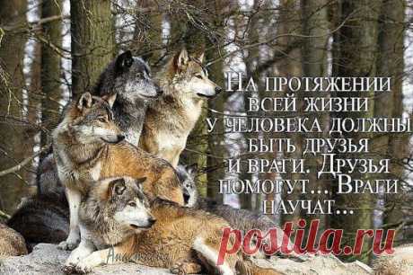 Тот, кто не может благодарить, не может и получать. Быть благодарным значит быть счастливым! Благодарность - признак благородства души.