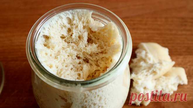 Чиабатта с оливковым маслом на левито мадре