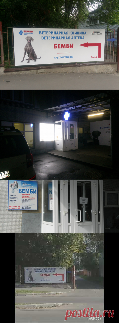 Ветклиника Бемби метро Новые Черемушки.