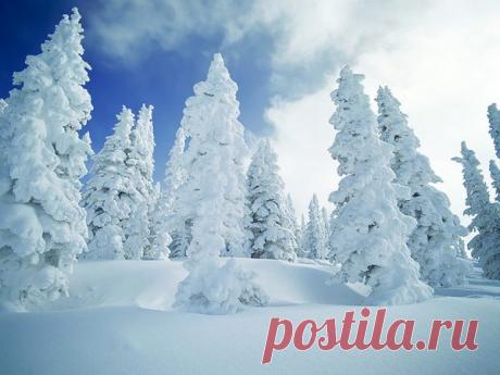 Природа, Красивые зимние пейзажи, 3578, зима, , basik.ru