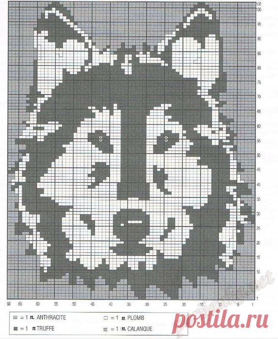 схемы диких животных для вязания: 22 тыс изображений найдено в Яндекс.Картинках