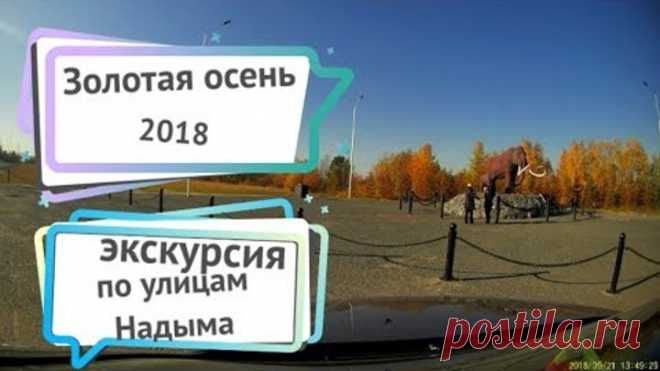 экскурсия по Надыму. Золотая осень 2018
