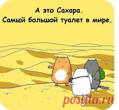 Интересные новости