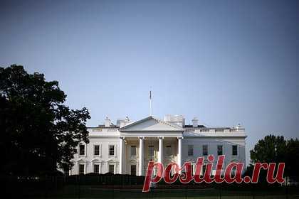 Трамп решил необычно обновить Белый дом