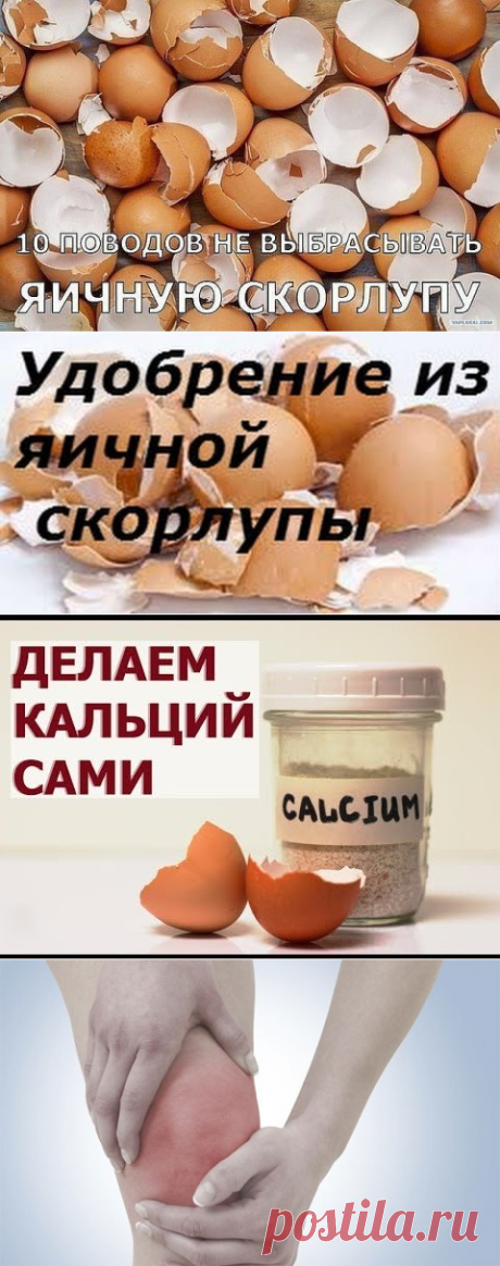 (4) Одноклассники
