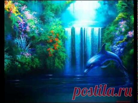 Дельфин целитель