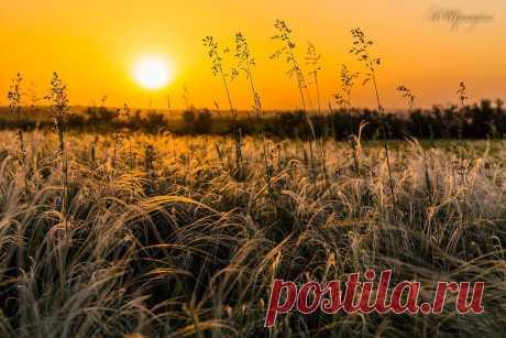 Александр Шрайфель
53 года, Россия, Каменск-Шахтинский