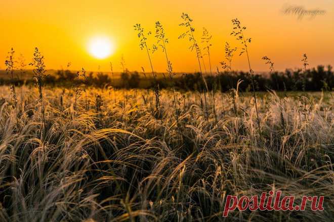 Александр Шрайфель
53 года, Россия, Каменск-Шахтинский