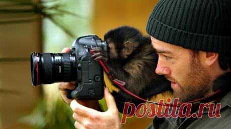 Фотографам дикой природы часто мешают животные