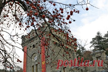 В Госсовете Крыма одобрили продажу акций "Массандры" до конца года Комитет по имущественным и земельным отношениям Госсовета РК одобрил включение 100 процентов акций крупнейшего винного завода в Крыму "ПАО "Массандра" в перечень объектов, которые подлежат приватизации в 2020 году. Об этом сообщила пресс-служба крымского парламента.