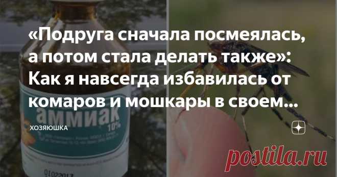 «Подруга сначала посмеялась, а потом стала делать также»: Как я навсегда избавилась от комаров и мошкары в своем доме Статья автора «ХОЗЯЮШКА» в Дзене ✍:  Подруга зашла похвастаться новым маникюром и обсудить насущное, а потом пожаловалась. Ее сиамский кот в очередной раз атаковал сетку от комаров и вышел победителем.