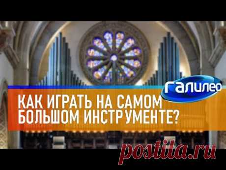 Галилео 🎼 Как играть на самом большом музыкальном инструменте?