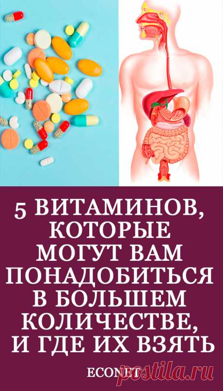 5 витаминов, которые могут вам понадобиться в большем количестве, и где их взять

Эти 5 витаминов необходимы организму для обеспечения нормальных функций иммунитета, кровообращения, для здоровья клеток. Кроме того, они отвечают за состояние мышц, костей, зубов и кожи. Поэтому важно вводить в свой пищевой рацион продукты, богатые данными витаминами.