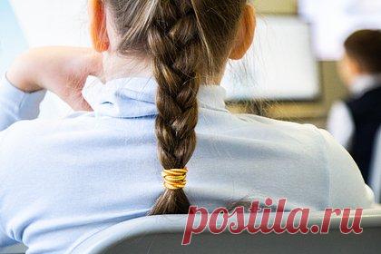 Стали известны детали новой системы для прохода на территорию российских школ