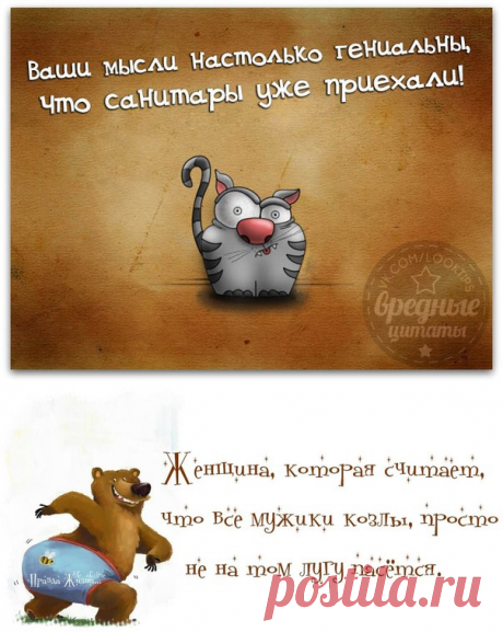 Позитивные фразочки в картинках