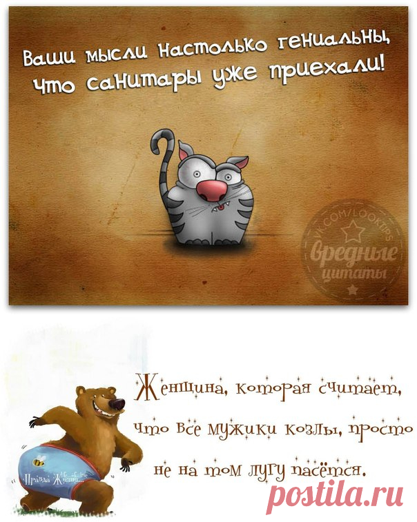 Позитивные фразочки в картинках