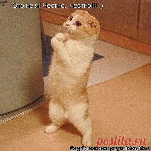 не я это!