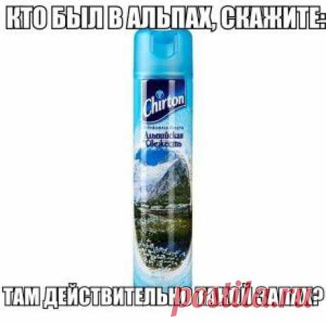 Картинки со смешными подписями