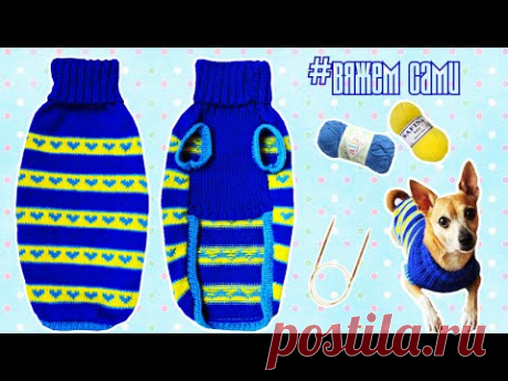 ВЯЖЕМ СВИТЕР ДЛЯ СОБАКИ | DIY DOG SWEATER