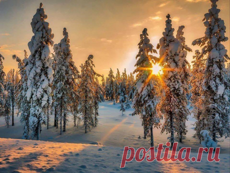 С добрым утром, друзья! Красивого дня!❄
Каждое утро - это время начать жизнь снова...