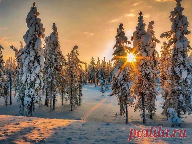 С добрым утром, друзья! Красивого дня!❄
Каждое утро - это время начать жизнь снова...